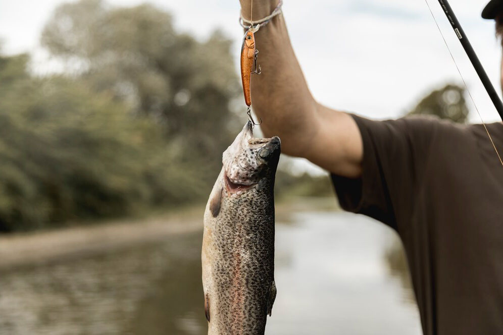 Pescuit la Stiuca in zona Holbina