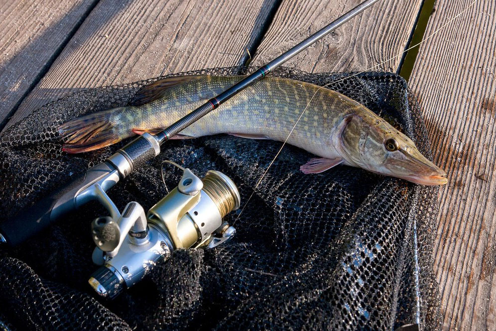 Pescuit la Stiuca pe lacul Obretinciuc-2