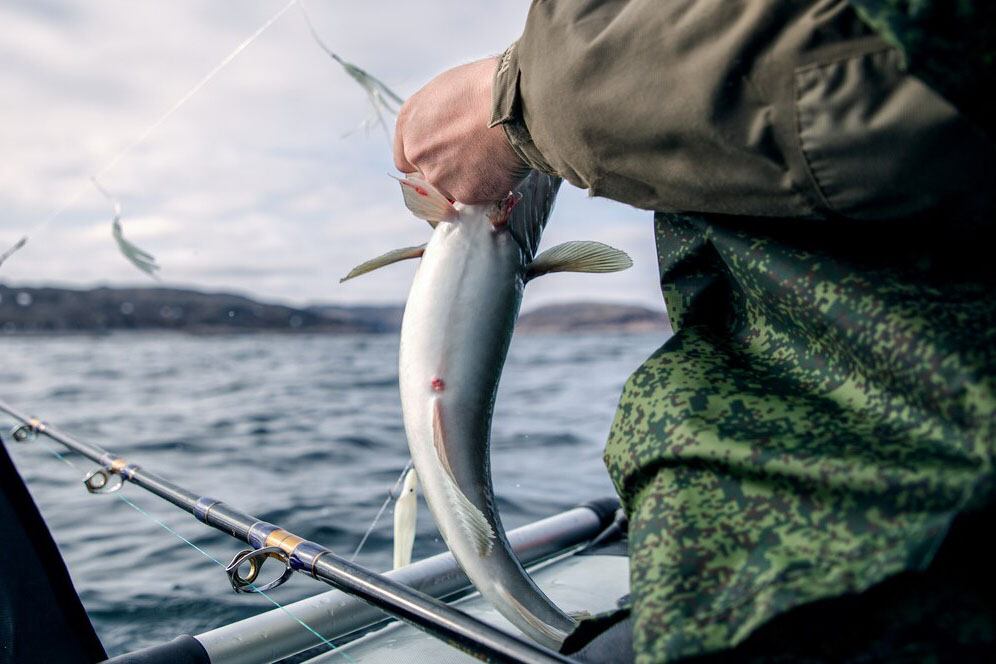 Pescuit la Stiuca pe lacul Vacaru